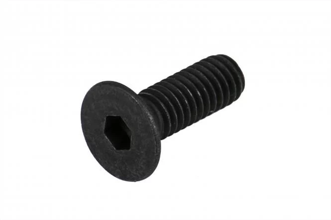 Bosch Befestigungsschraube Kabelschutz - Performance / CX Bosch Befestigungsschraube Kabelschutz - Performance / CX -Bike Zubehör bosch befestigungsschraube