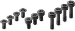 Bosch Nyon Gen.2 Screw Kit (11 Pieces)