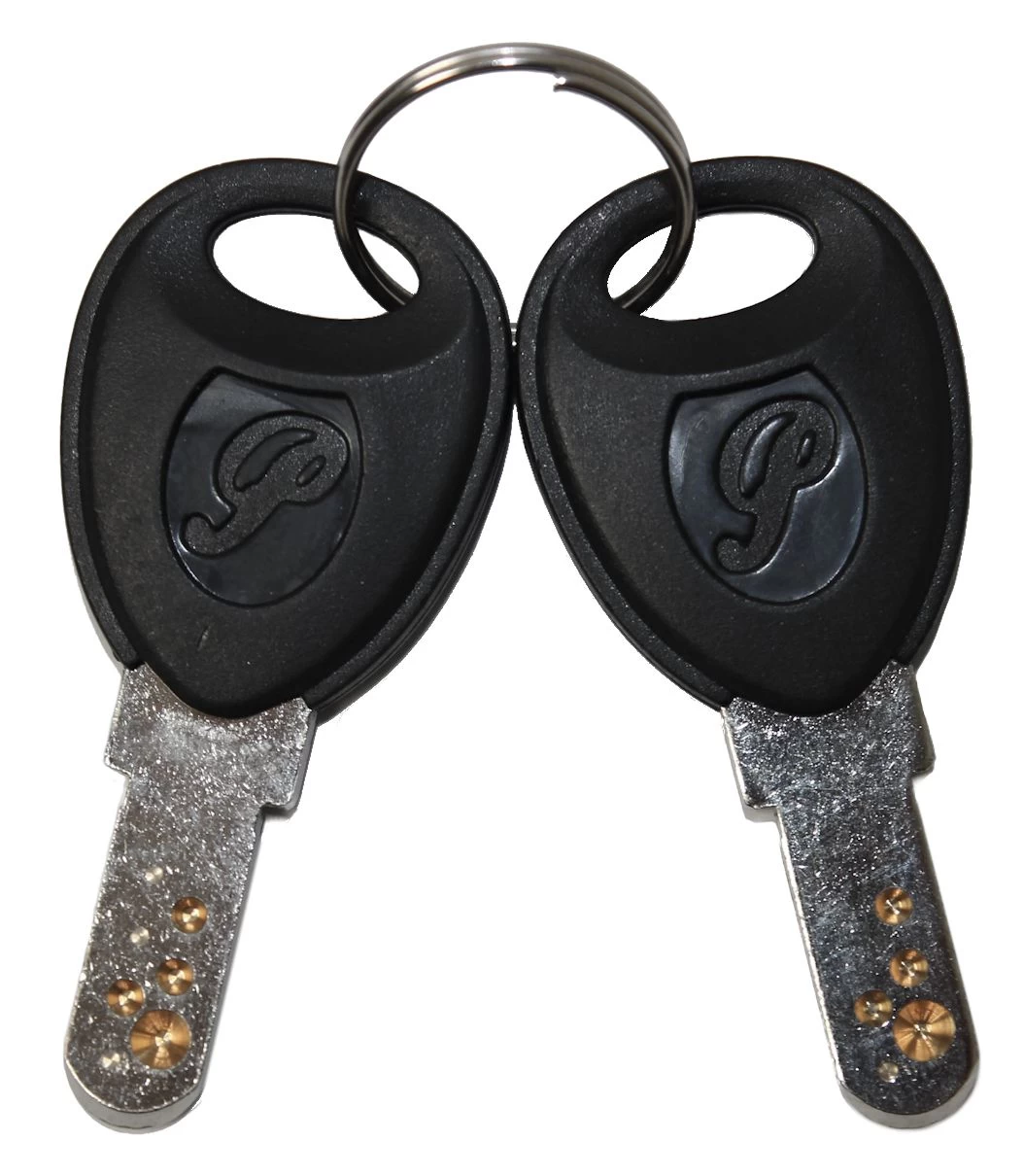 Flyer / Panasonic E-Bike Ersatzschlüssel ab 2007 - 1 Paar Flyer / Panasonic E-Bike Ersatzschlüssel Ab 2007 - 1 Paar -Bike Zubehör flyer elektrofahrrad ersatzschluessel ab 2007