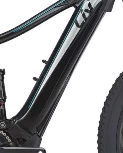 Giant Battery Cover Embolden E+ 2 2019