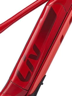 Giant/ Liv Side Panel Für EnergyPak 500 Wh Downtube Side Release Akku -Bike Zubehör giant side panel downtube akku rot 202 liv