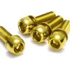 REVERSE Brake Adapter Screw Set 4 Pcs. M6x18mm 2 REVERSE Brake Adapter Screw Set 4 Pcs. M6x18mm -Bike Zubehör reverse brake adapter screw set 4 pcs m6 18mm gold