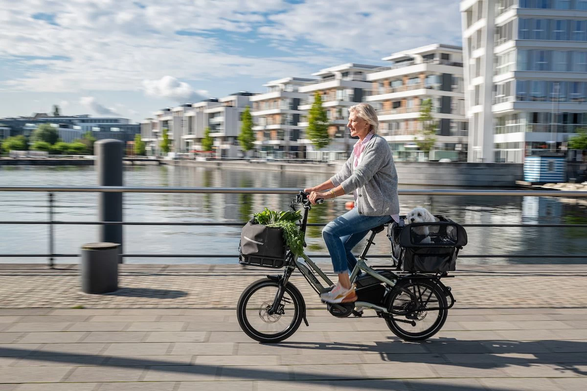 Tern Dog Roof Mini Tern Dog Roof Mini -Bike Zubehör tern dog roof